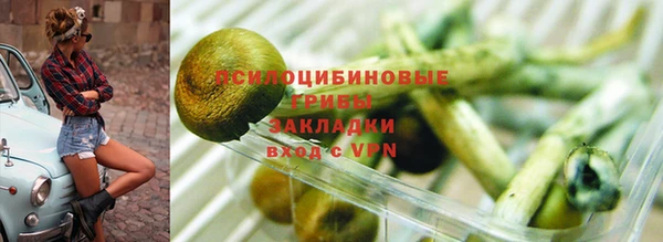 таблы Коряжма