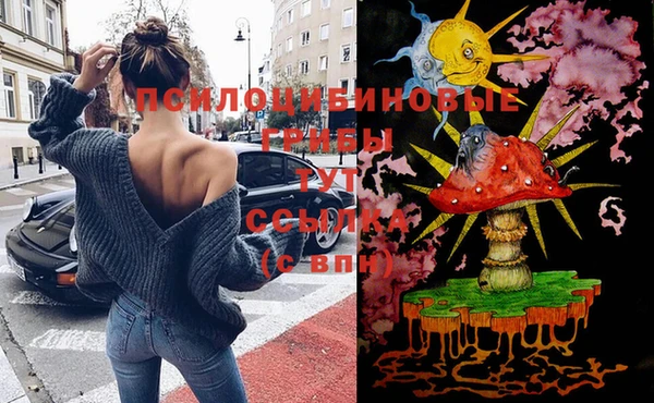 таблы Коряжма