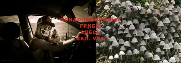 трава Костерёво