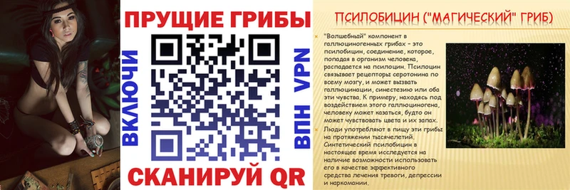 Псилоцибиновые грибы MAGIC MUSHROOMS  Купить где  Ялуторовск 
