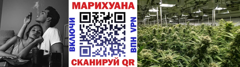 Купить закладки  Ялуторовск  Бошки Шишки White Widow 